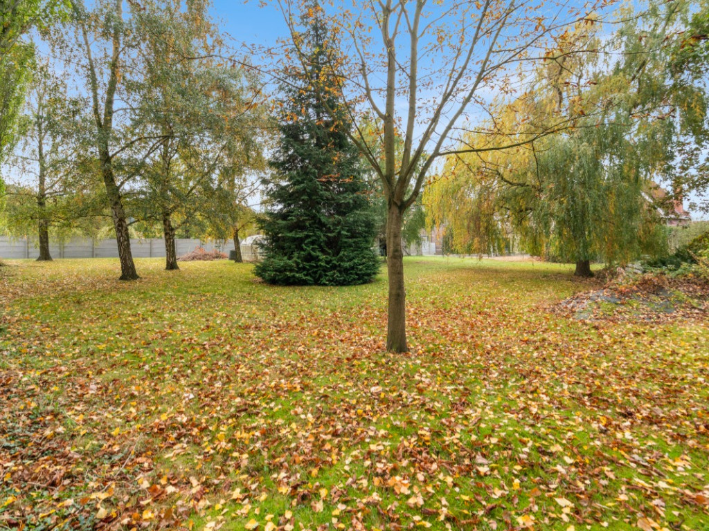 Beigemsesteenweg - 408 - - 1852