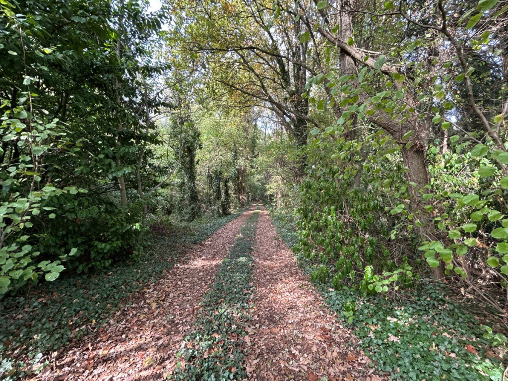 Kesselse Heide - de Schommers - 3 - - 2560