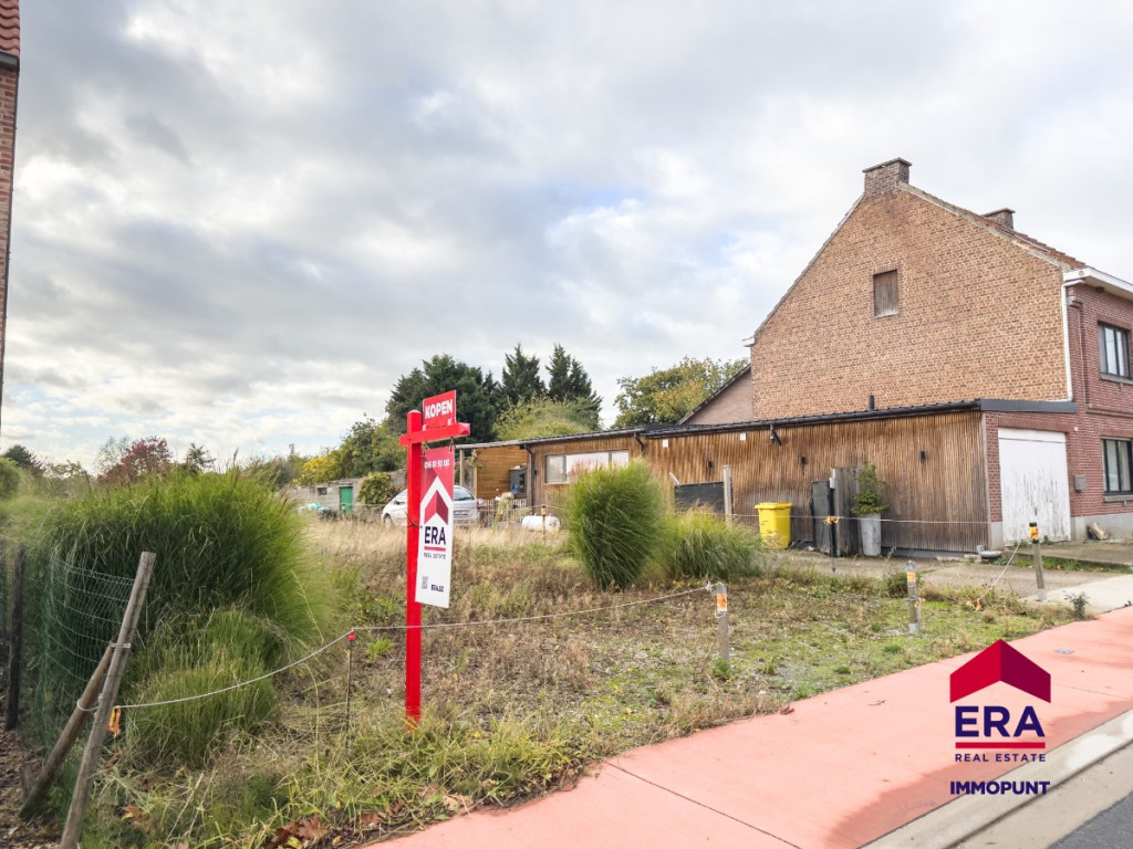 Netelzeepstraat - 31 - C - 3460