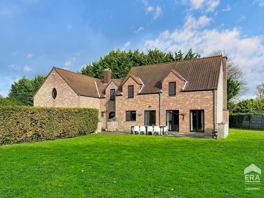 Rue Panier - 10 - - 1470