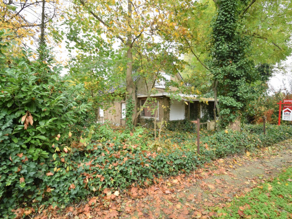 Berkendreef - 7 - - 3380