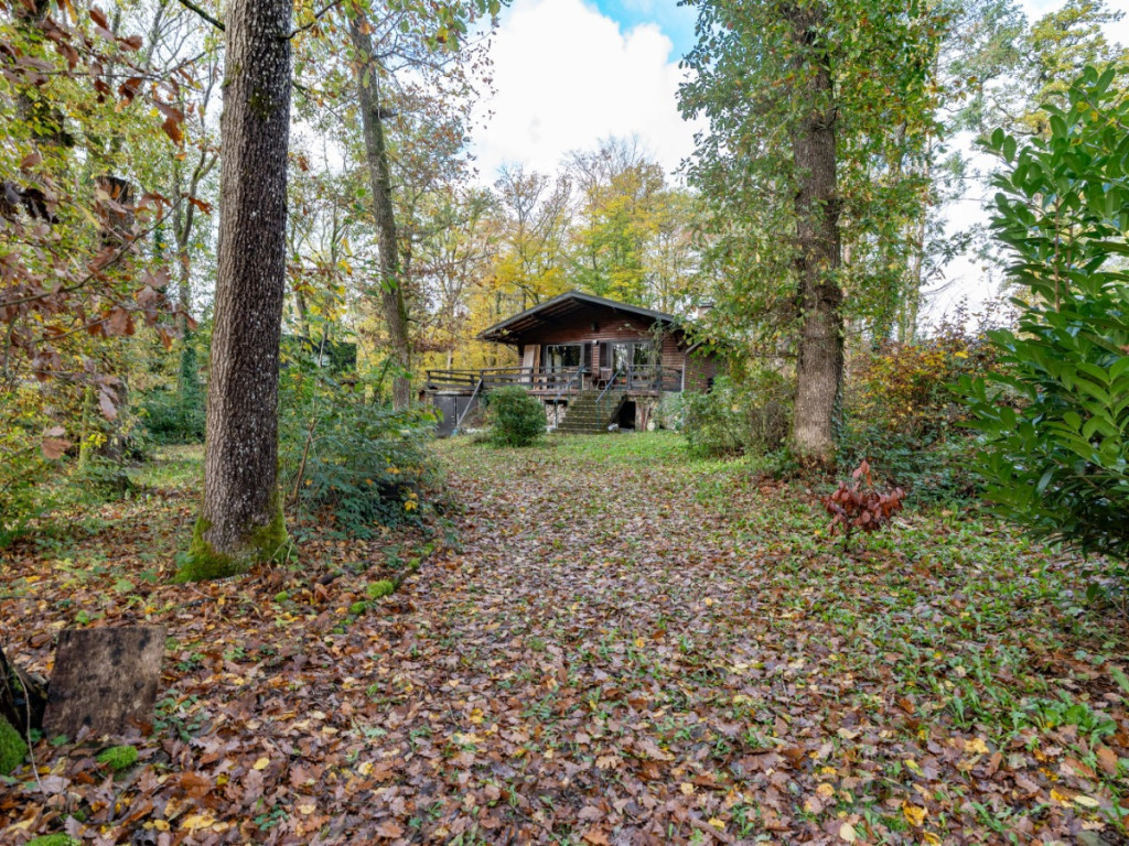 Chemin des Bouleaux - 170 - - 5377