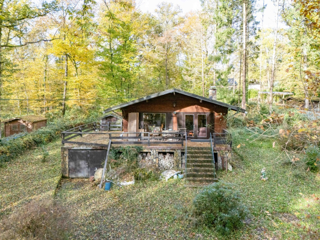 Chemin des Bouleaux - 170 - - 5377