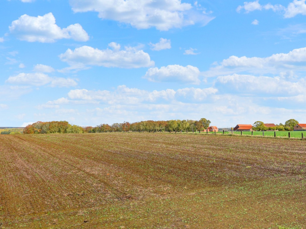 Driesstraat - 65 - - 3461