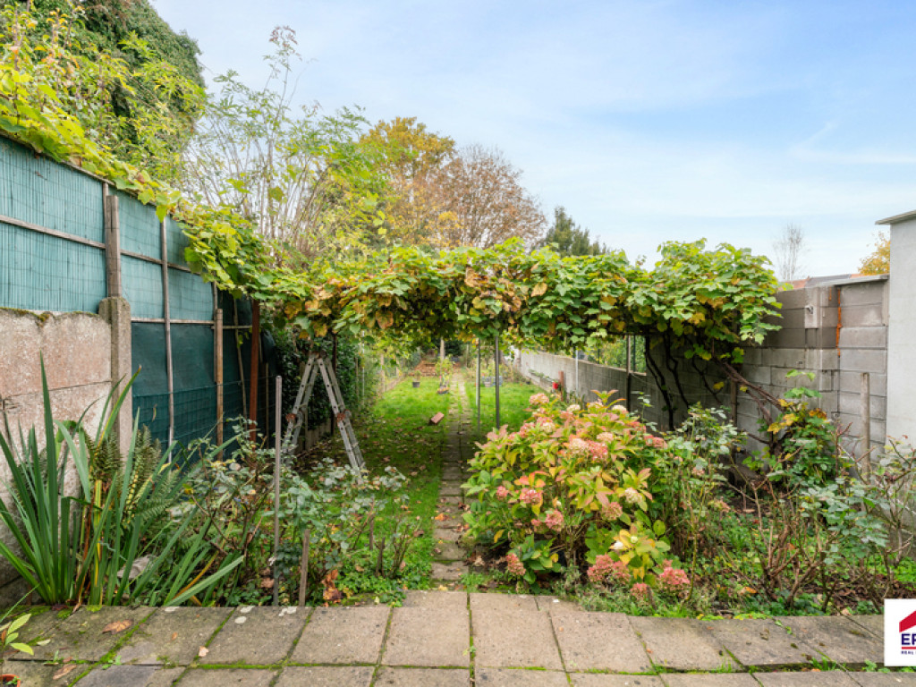 Steenweg op Drogenbos - 263 - - 1620