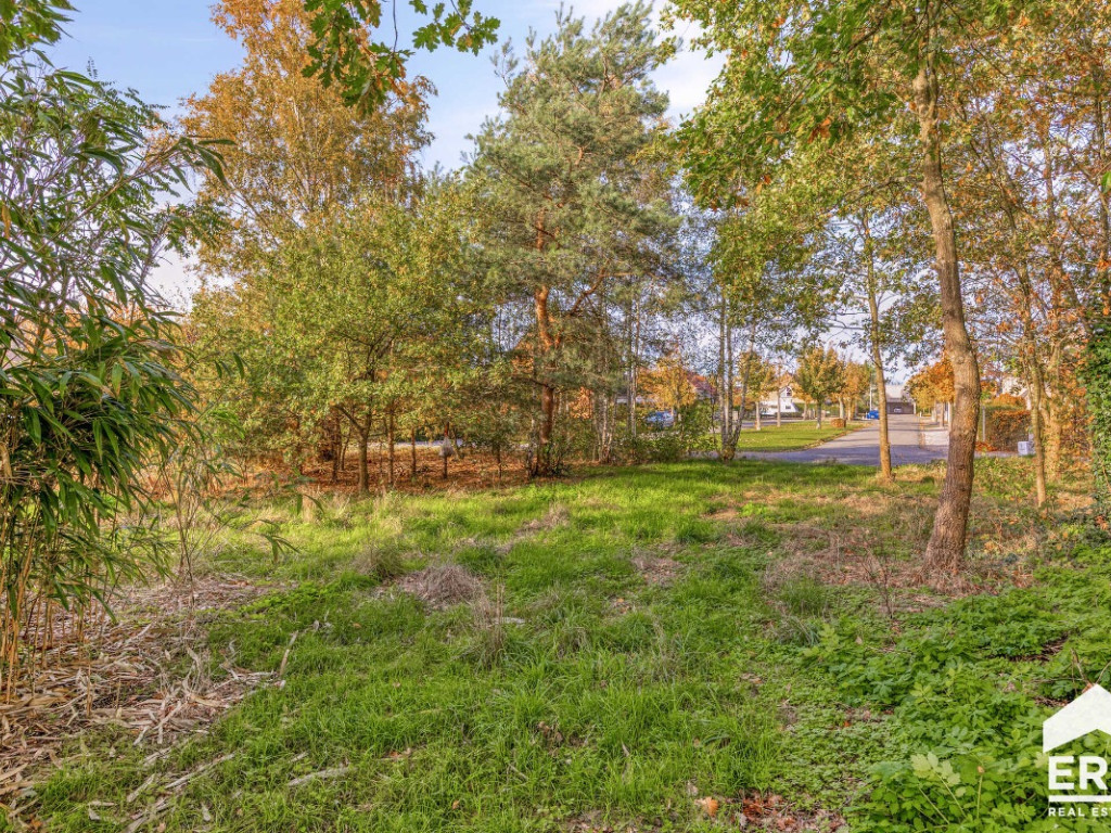 Teugelstraat - 0 - - 3920