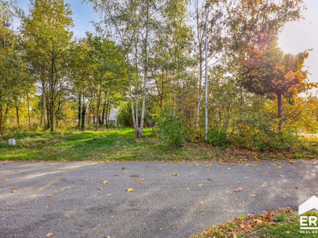 Teugelstraat - 0 - - 3920