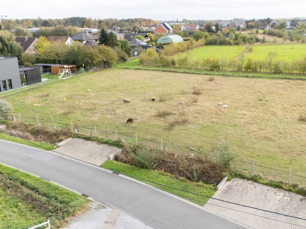 Bookmolenstraat - 264 - - 9200