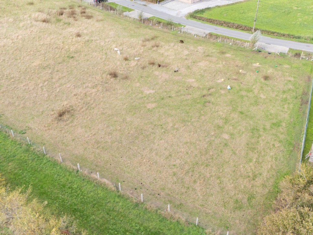 Bookmolenstraat - 262 - - 9200