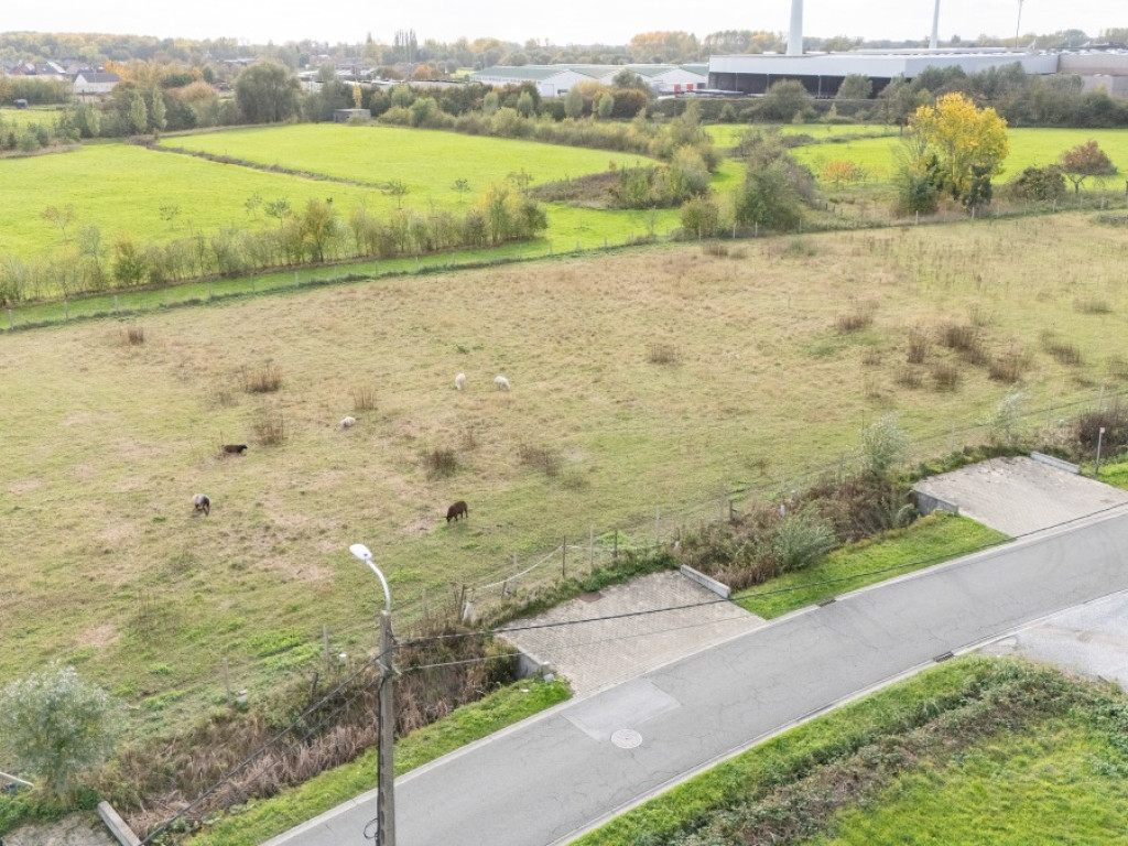 Bookmolenstraat - 262 - - 9200