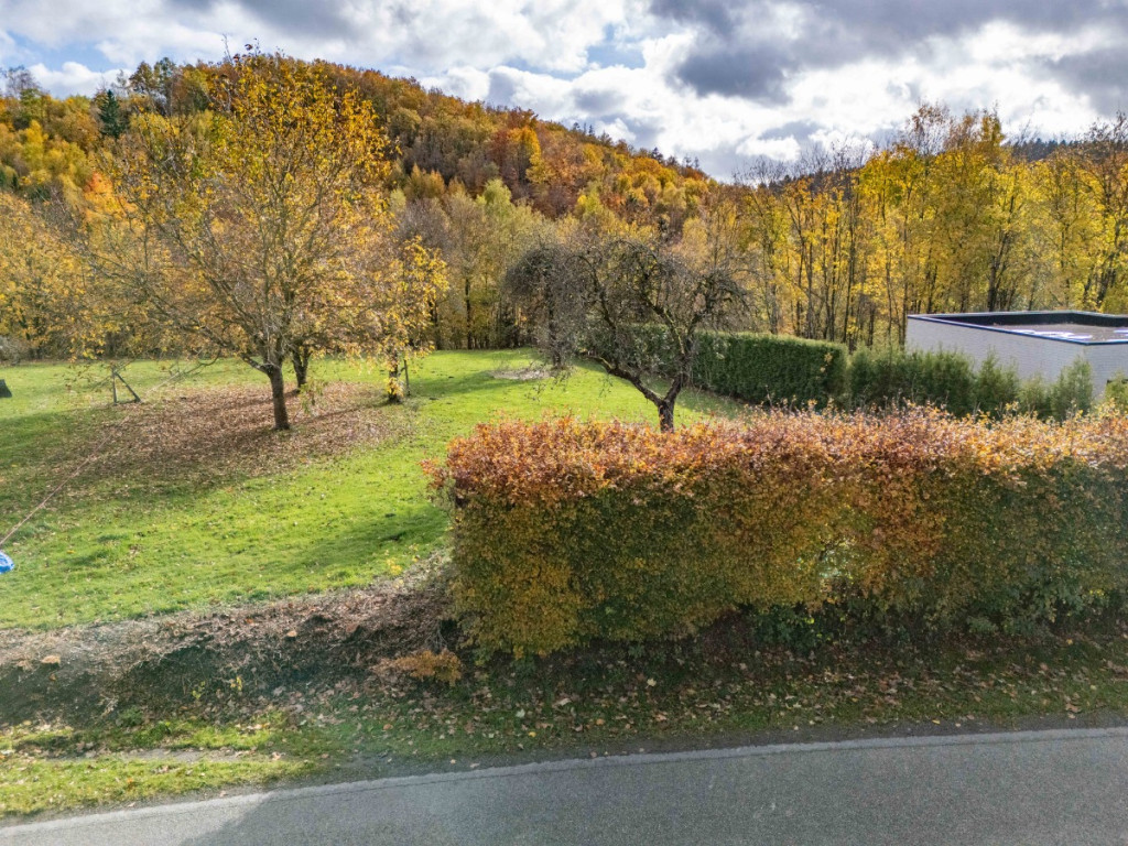 Rue du Vieux Chêne - 1 - a - 6687