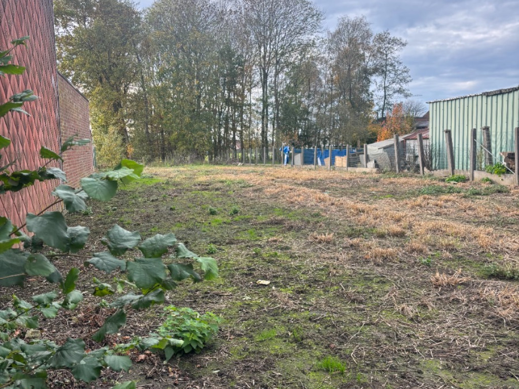 Steenstraat - 19 - - 8851