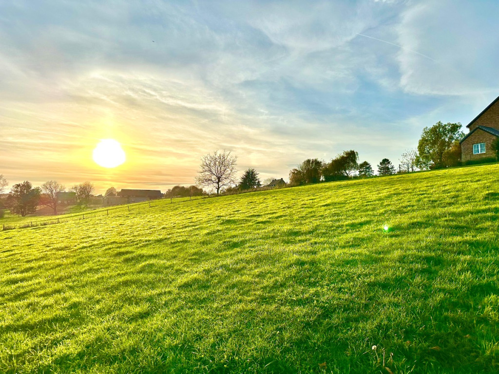 Rue Potay - 20 - - 4470