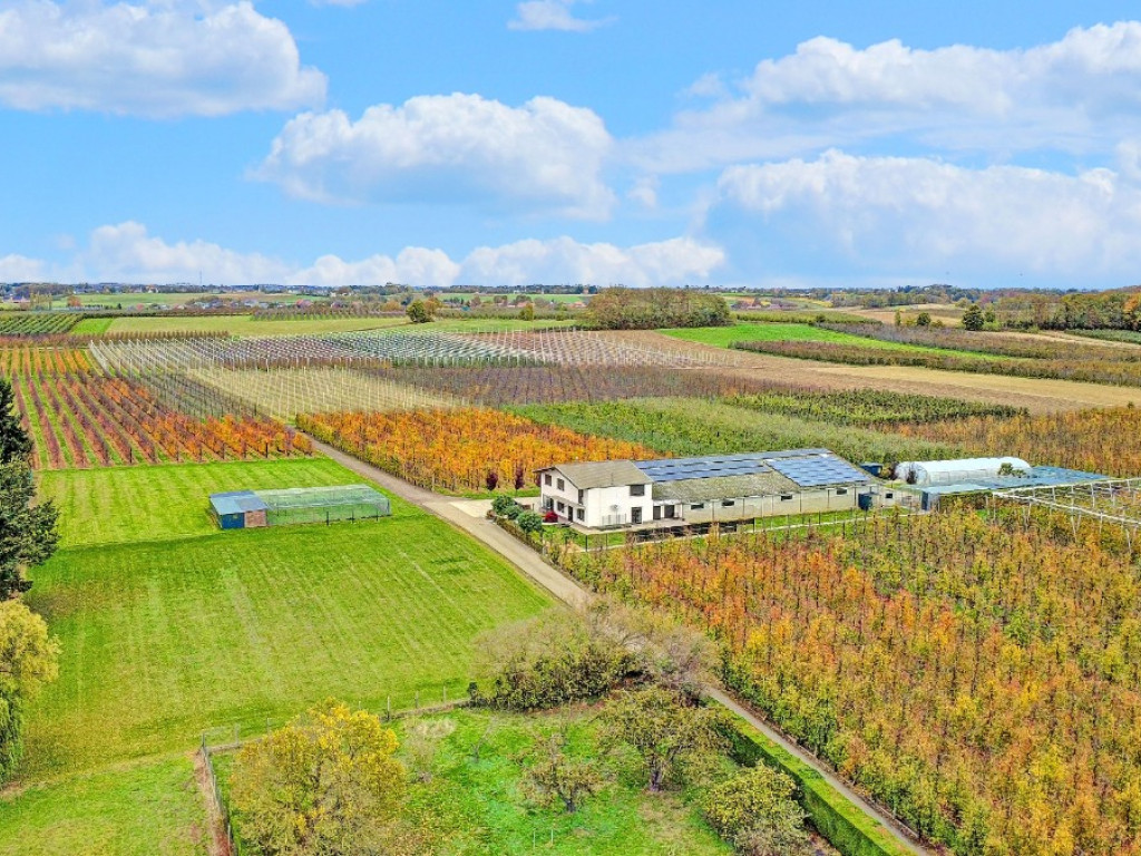 Wersbeekstraat - 33 - - 3391