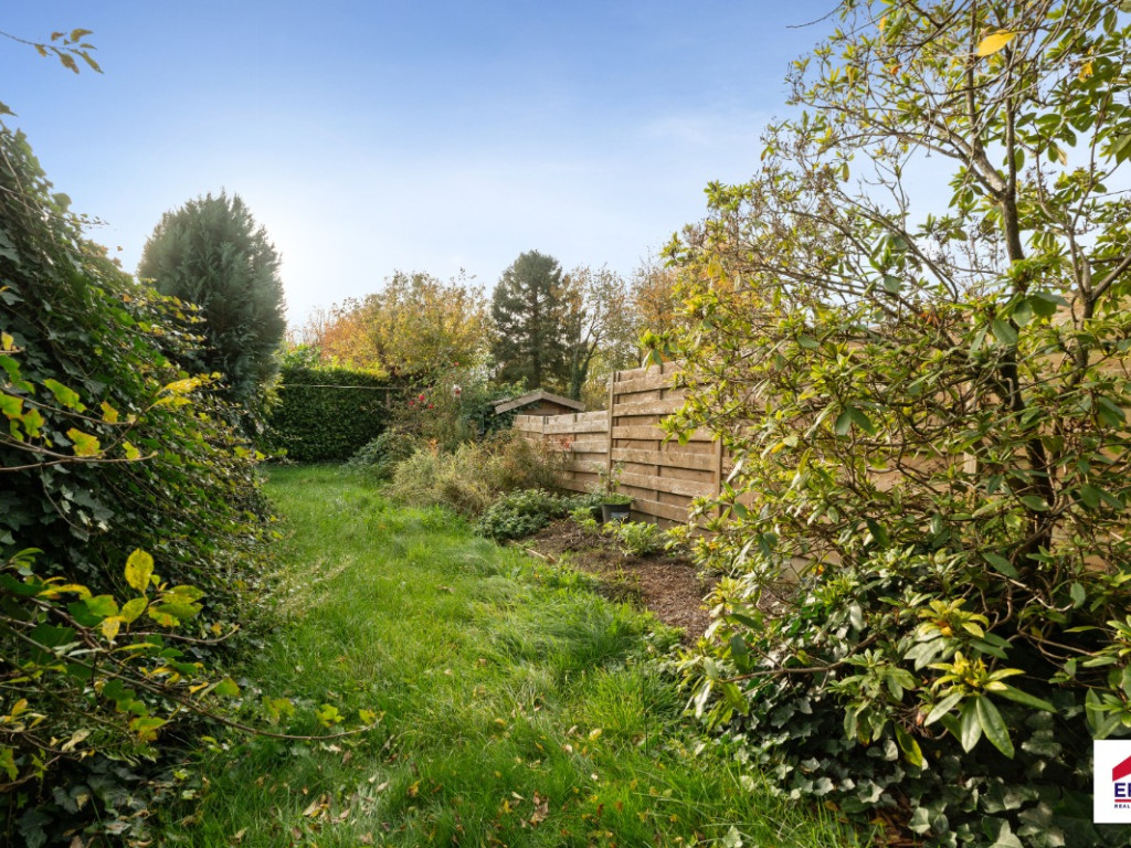 Marktplein - 11 - - 1703