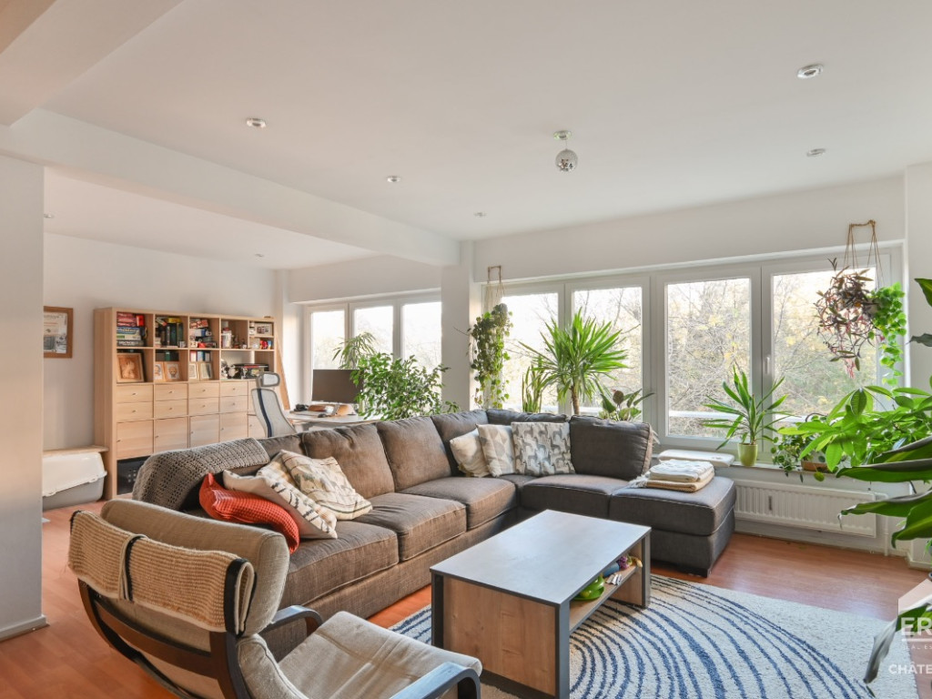 Avenue de la Basilique - 363 - - 1081