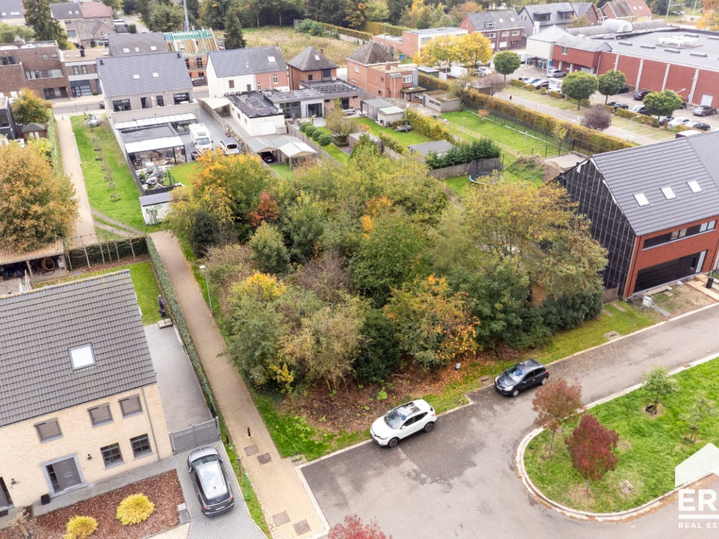 Beiaardgalm - ZN - - 3920