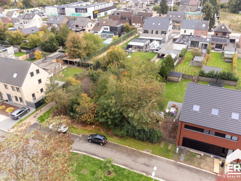 Beiaardgalm - ZN - - 3920