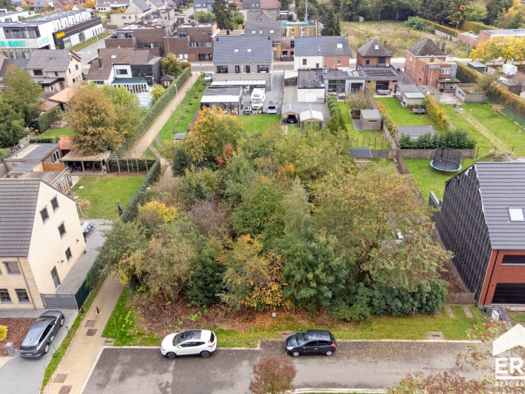 Beiaardgalm - ZN - - 3920