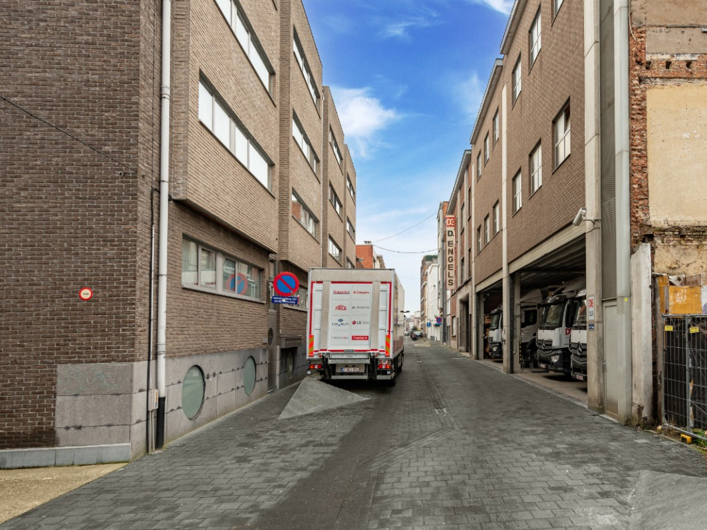 Stijfselrui - 23-25 - - 2000