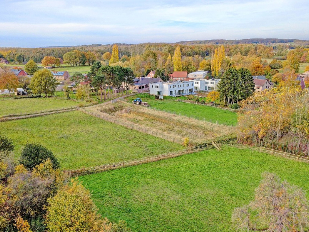 Optielt - 12 - - 3390