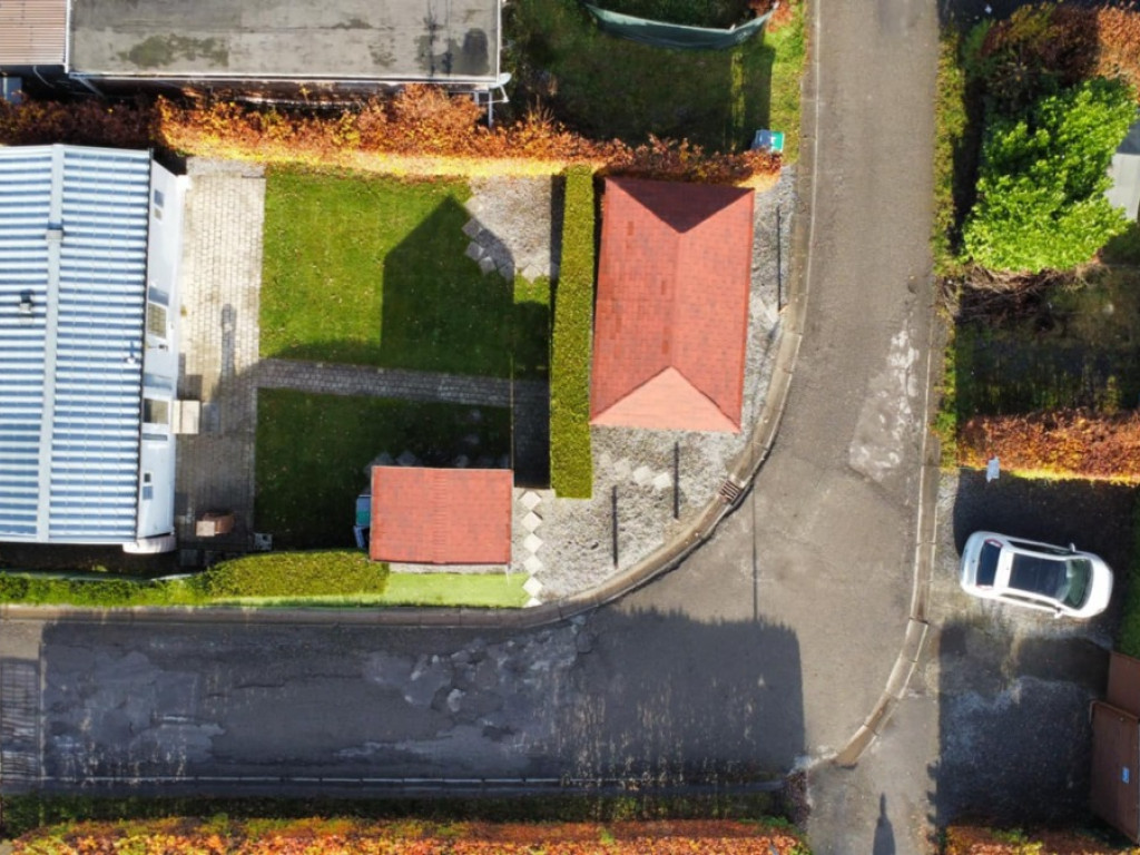 Tier de Rinze - 37 - 108 - 6940