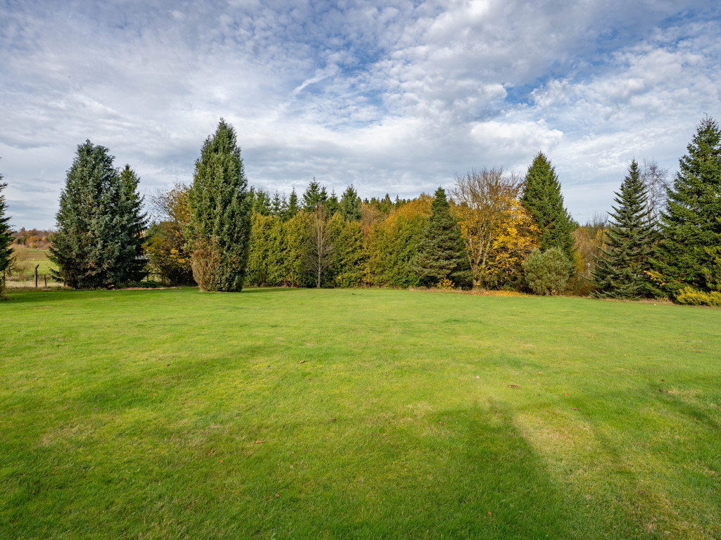 Marenwez - 1A - - 6600