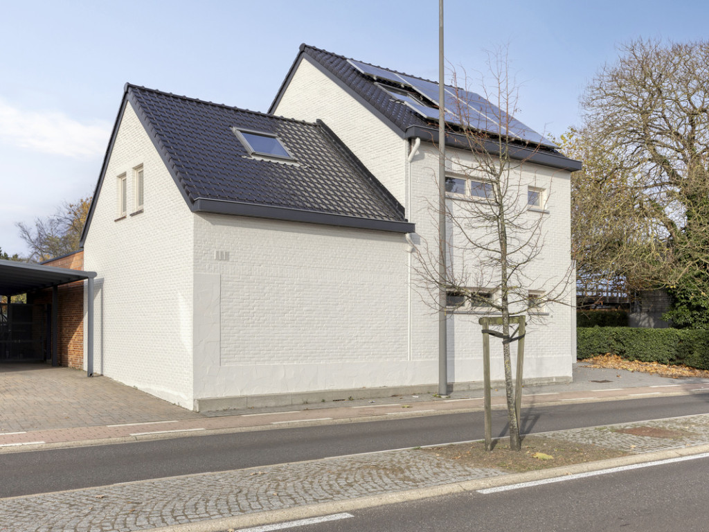 Boekterheide - 31 - - 1275 - 3550