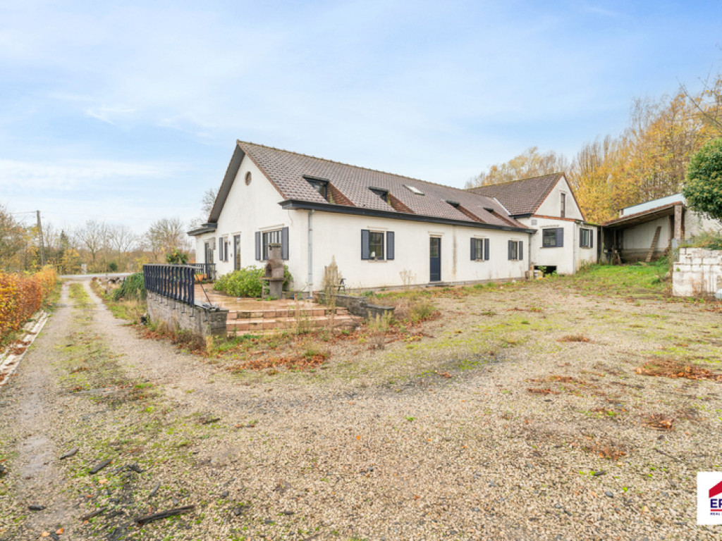 Rue de Renaix - 159 - - 7890