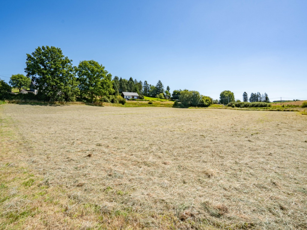 Copon Lot 3 - 0 - - 6680