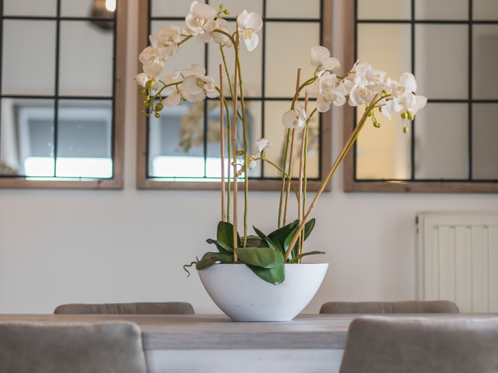 Sint-Antoniusstraat - 1 - 3 - 9100