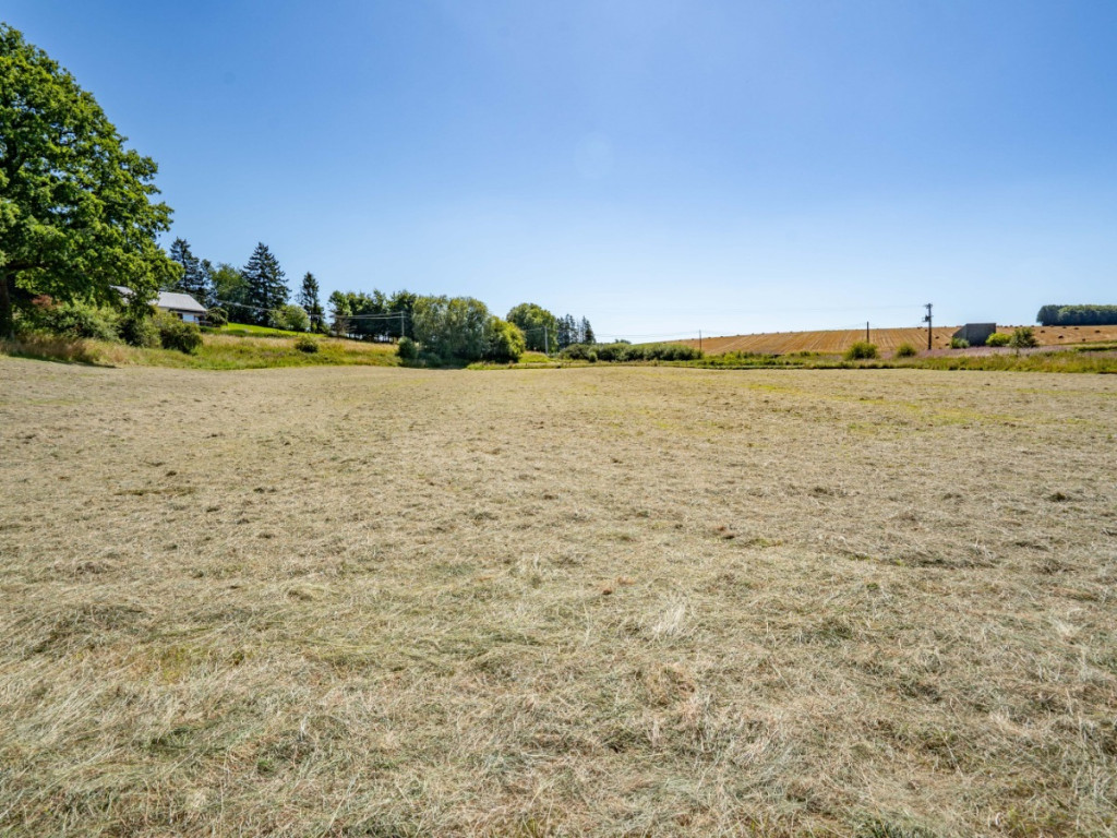 Copon Lot 4 - 0 - - 6680