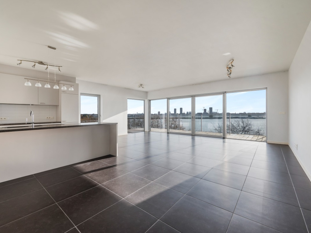 Brilduikerstraat - 4 - 501 - 2050