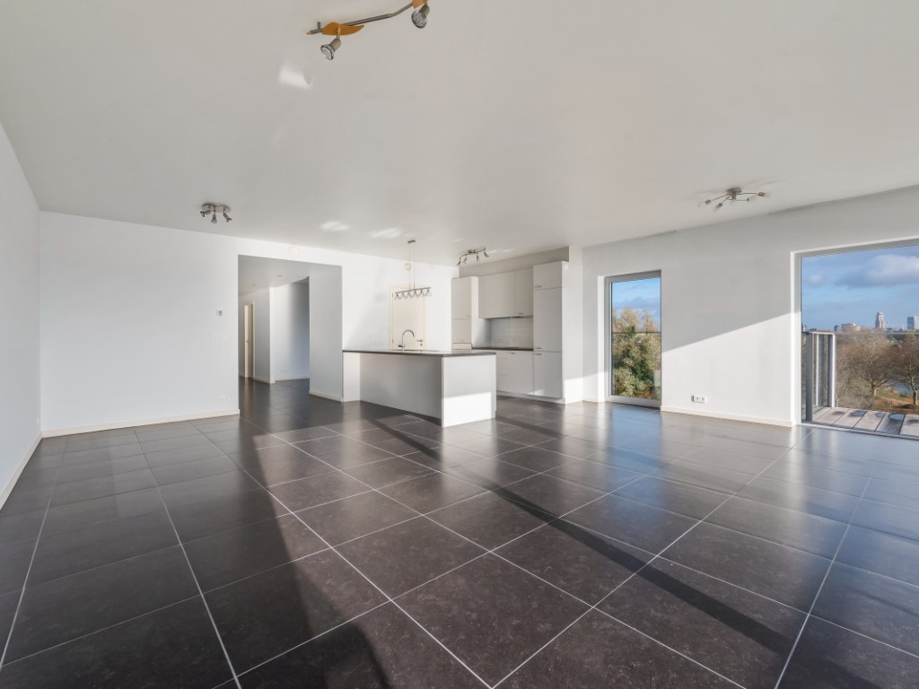 Brilduikerstraat - 4 - 501 - 2050