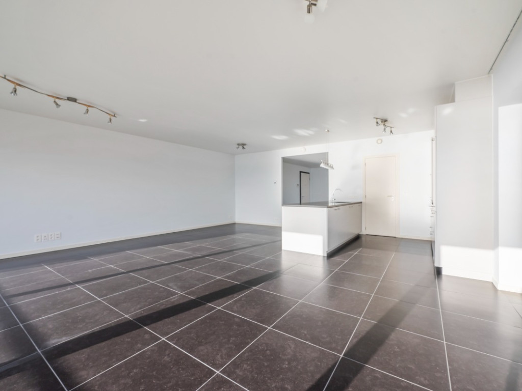 Brilduikerstraat - 4 - 501 - 2050