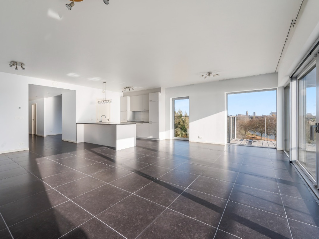 Brilduikerstraat - 4 - 501 - 2050