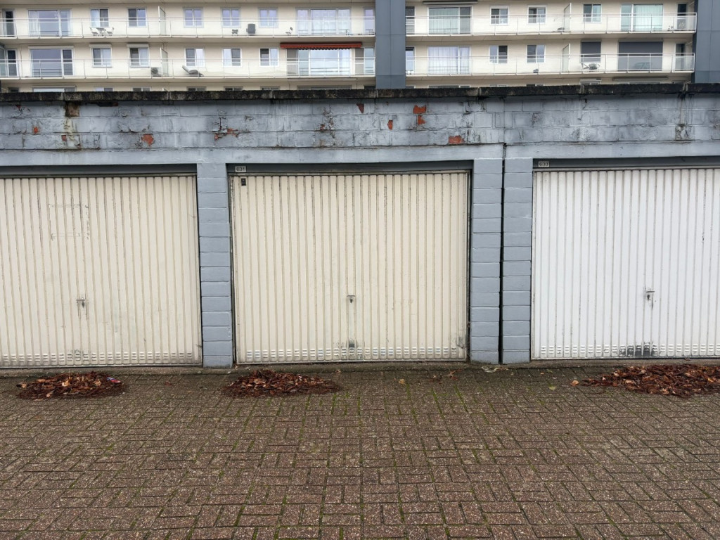 Leeuwerikenstraat - 39 - - 3001