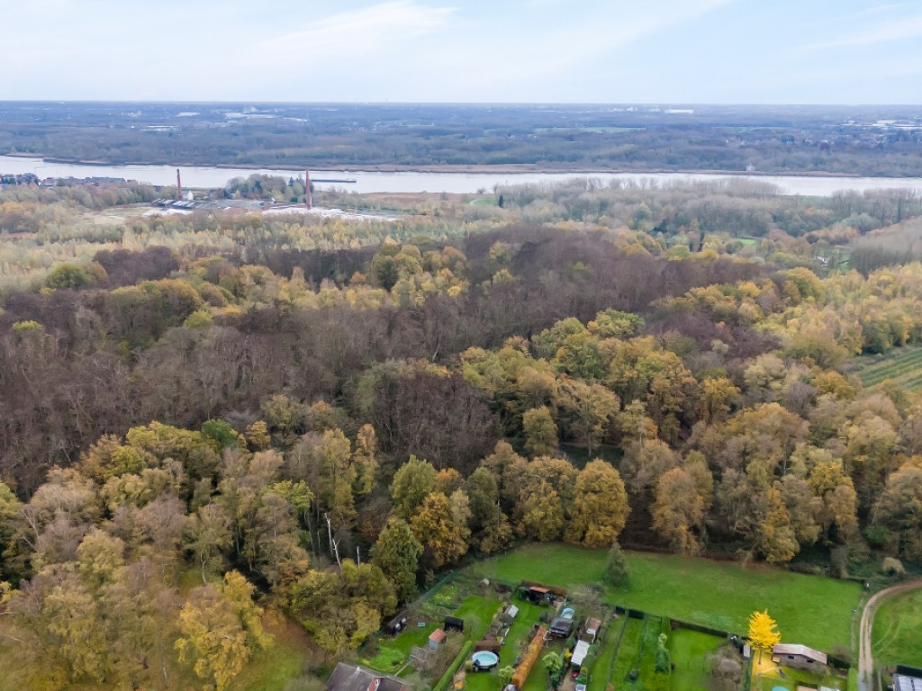 Negenoogstraat - 11 - - 9140
