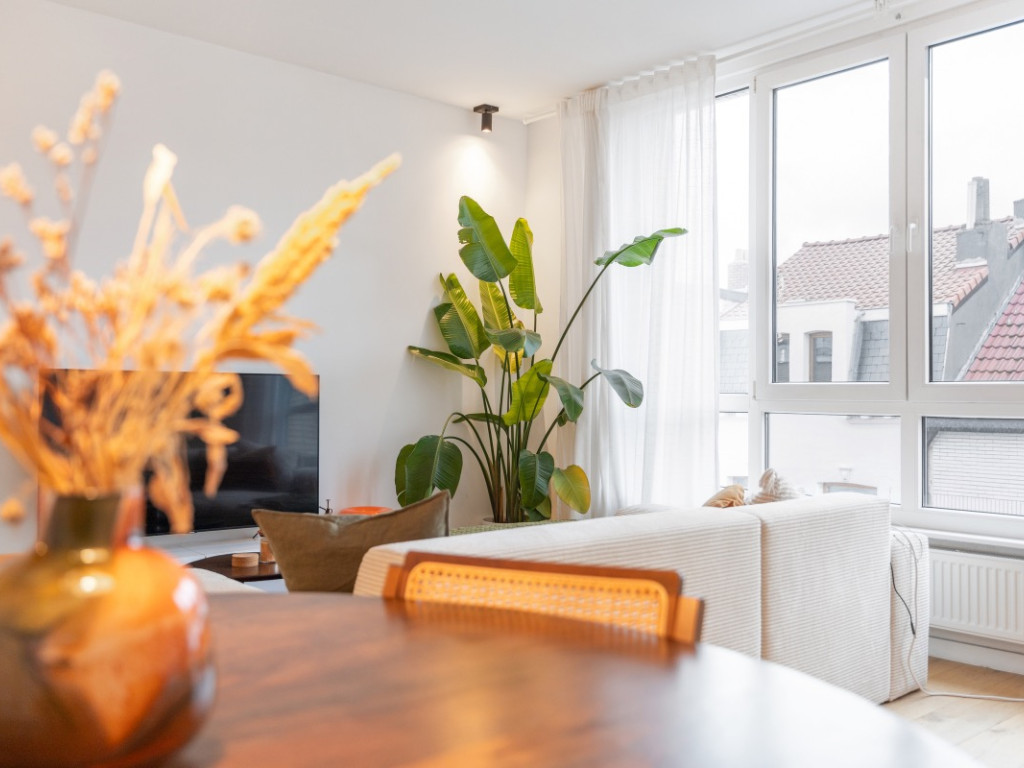 Berendrechtstraat - 92 - - 2020