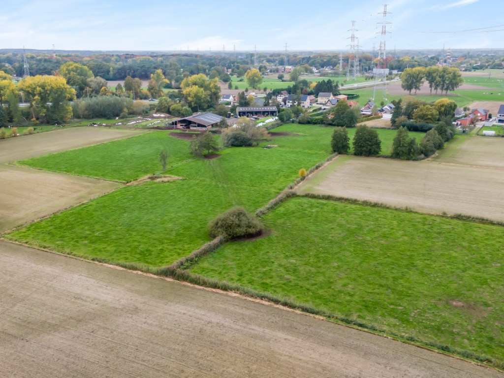 Dendermondse Steenweg - 273 - - 9100