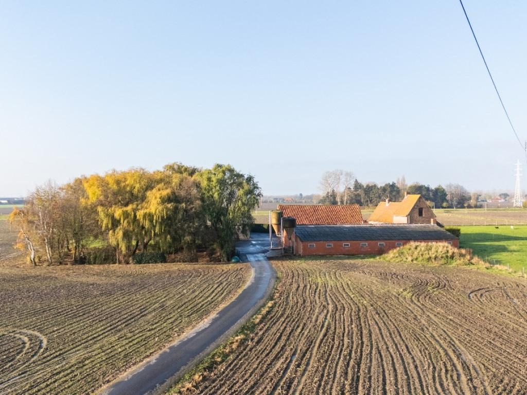 Wulpendammestraat - 4 - - 8670