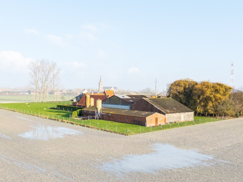 Wulpendammestraat - 4 - - 8670