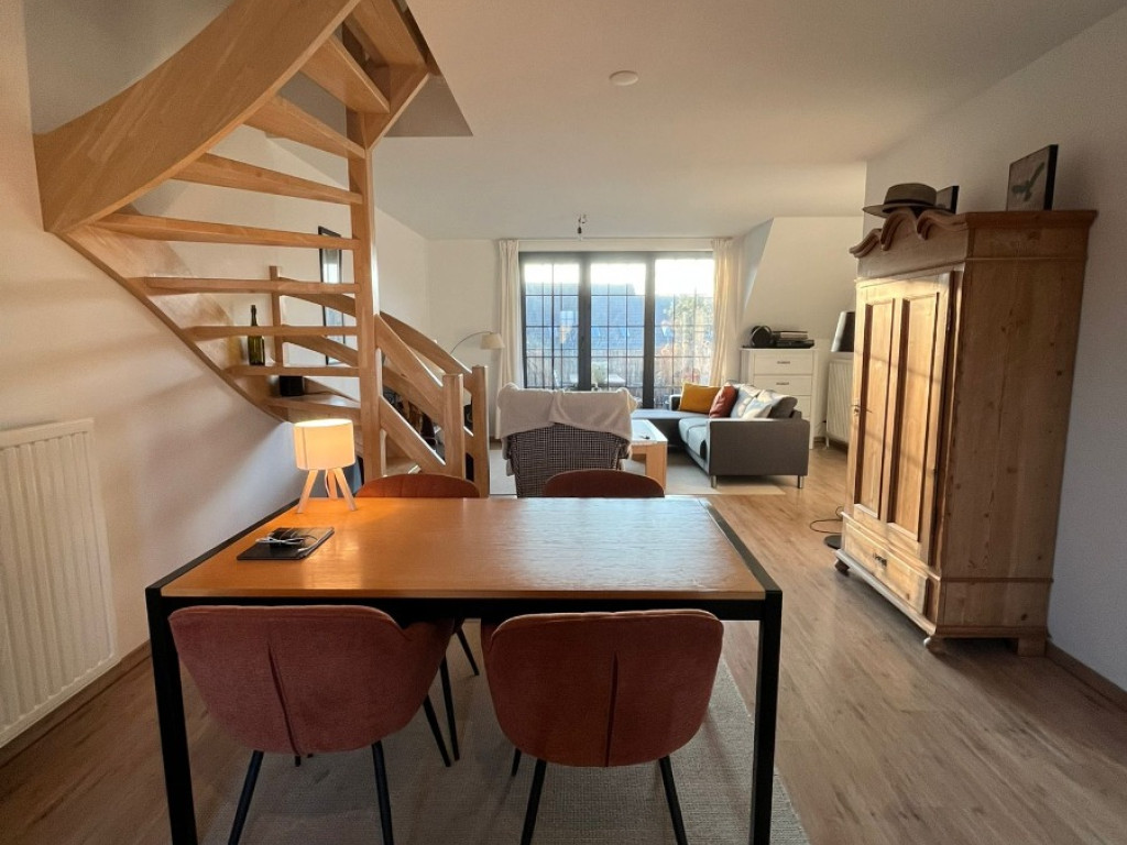 Ganzendries - 48 - 4 - 2320