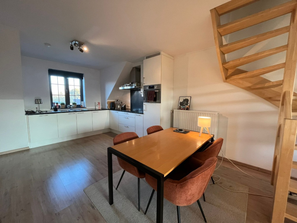 Ganzendries - 48 - 4 - 2320