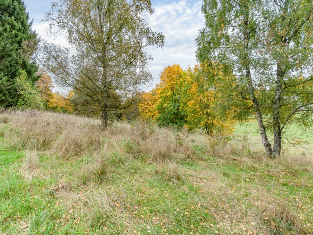 Rue du Colonel Mallegol - LOT 1 - - 6852