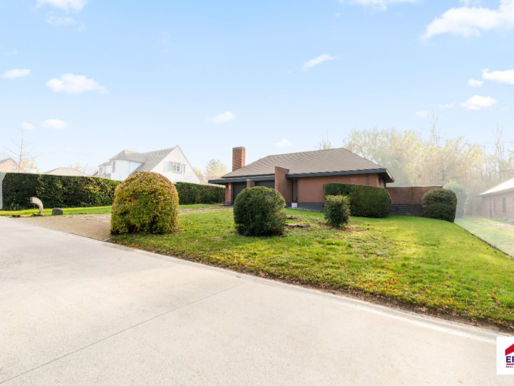 Louwijn - 49 - - 1730