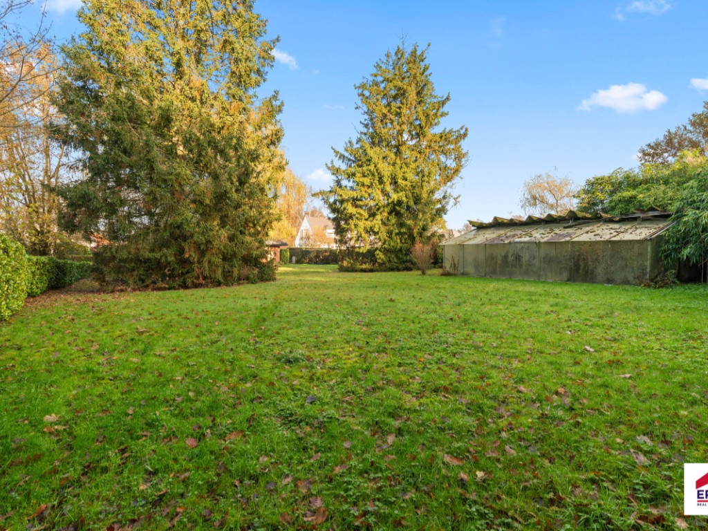 Louwijn - 49 - - 1730