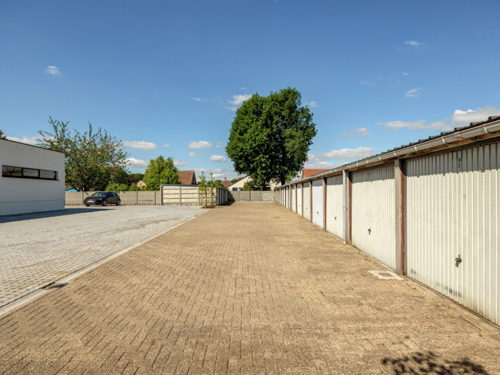 Vrijheid - 30 - G4 - 2320