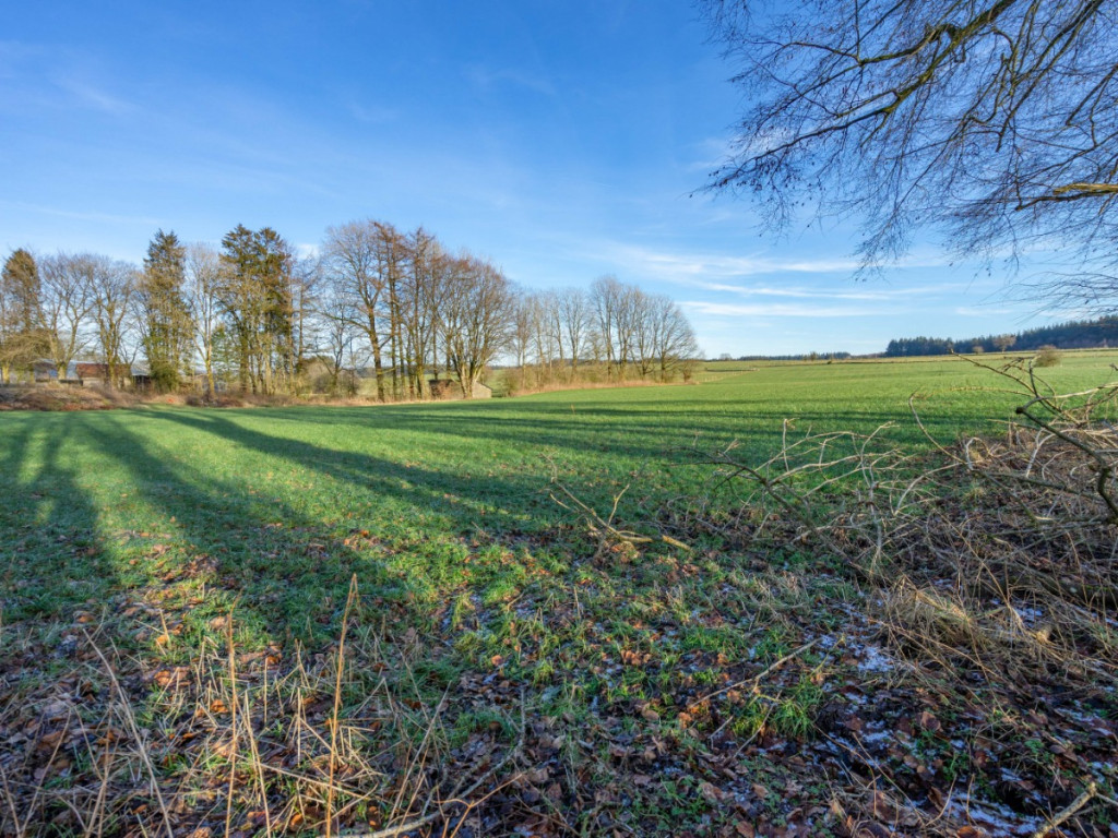 via betrivau - 0 - - 6800