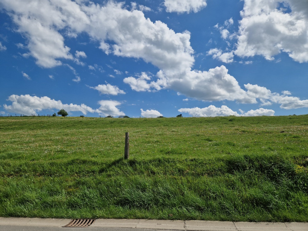 Rue des Jonquilles - 0 - - 6680